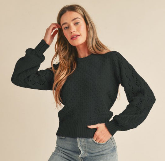 Addy Pointelle Knit Puff Sleeve Sweater, Black